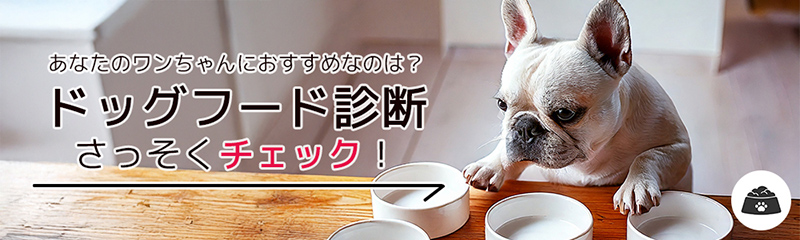 フード診断