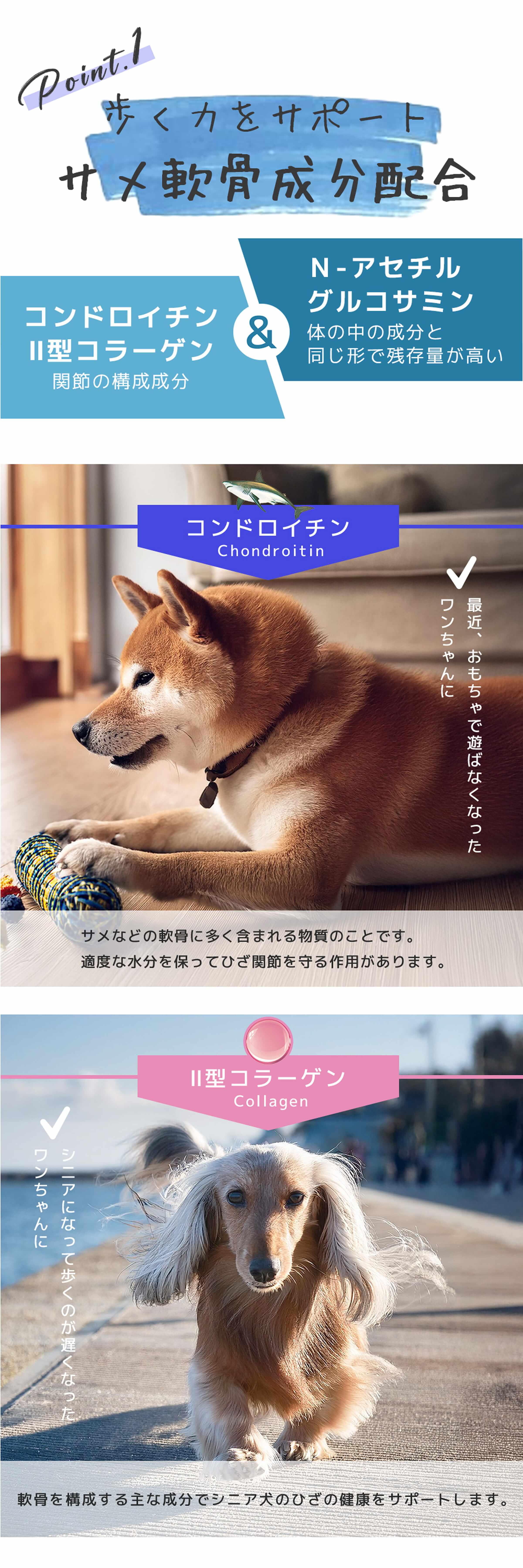 Point.1　歩く力をサポート　サメ軟骨成分配合