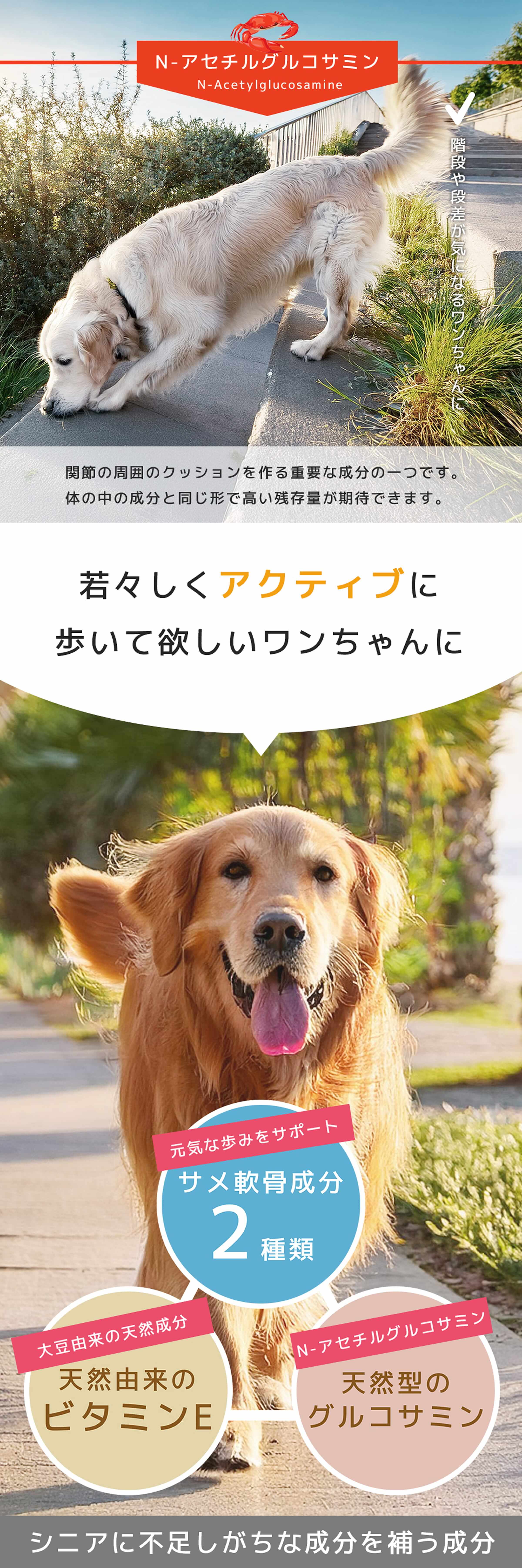 若々しくアクティブに歩いて欲しいワンちゃんに""