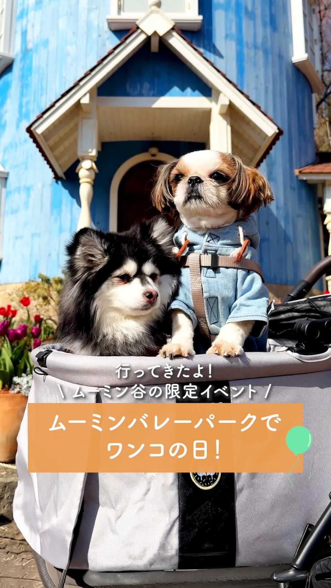 今しか行けない「ムーミン谷」の限定イベントムーミンバレーパークでワンコの日！