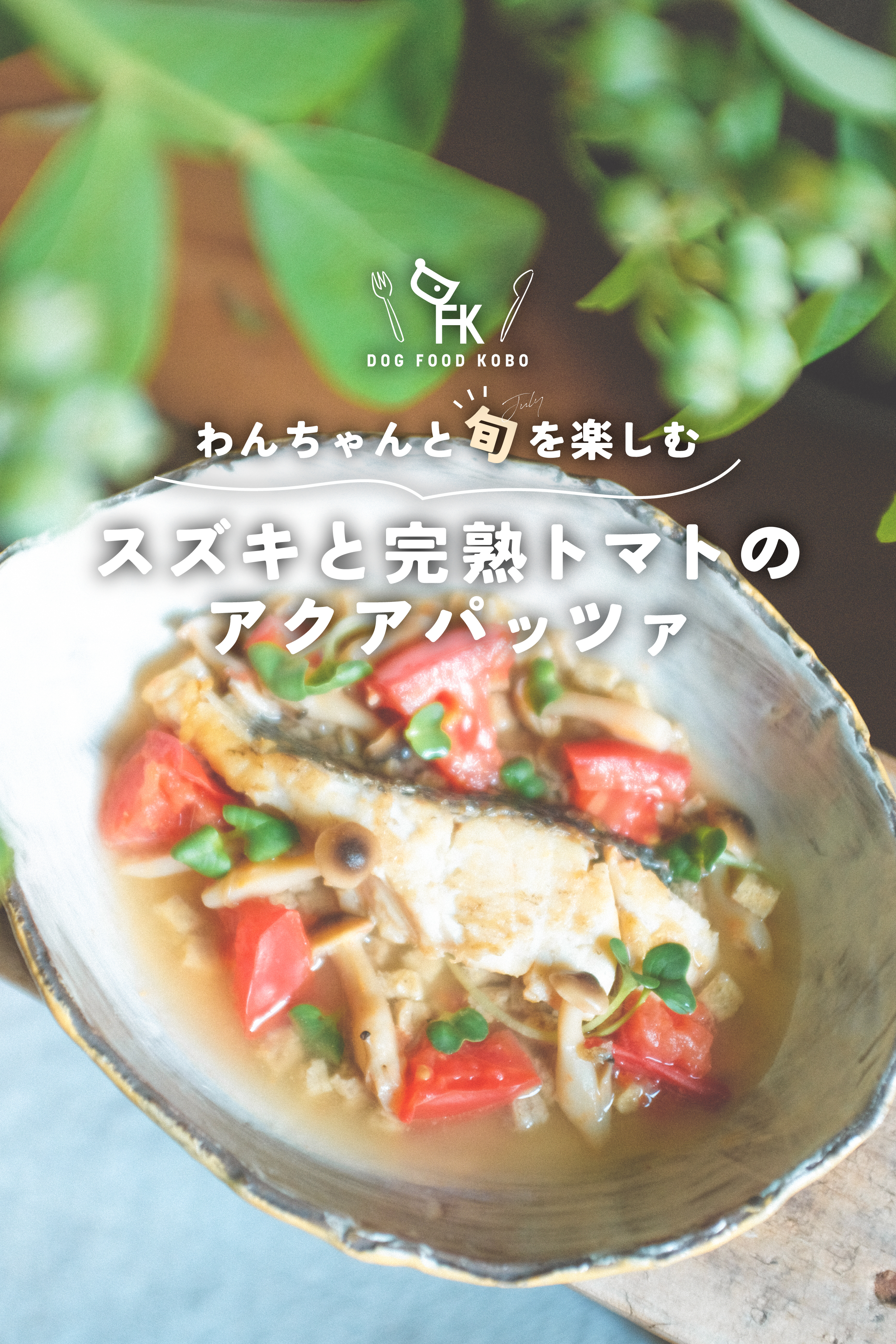 【スズキと完熟トマトのアクアパッツァ】を作ろう！
