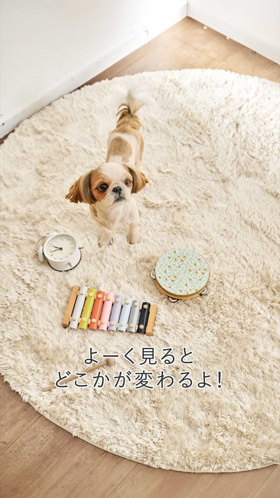 アハ体験チャレンジ