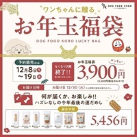 2026 お年玉福袋【12月30日(火)お届け】