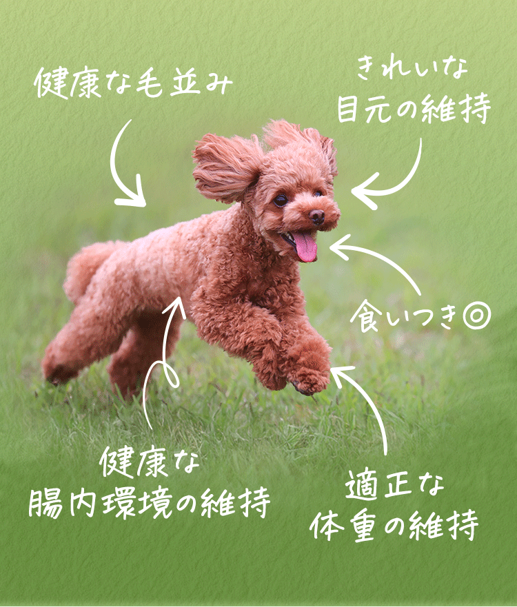 健康な毛並み　きれいな目元の維持　食いつき◎　健康な腸内環境の維持　適正な体重の維持