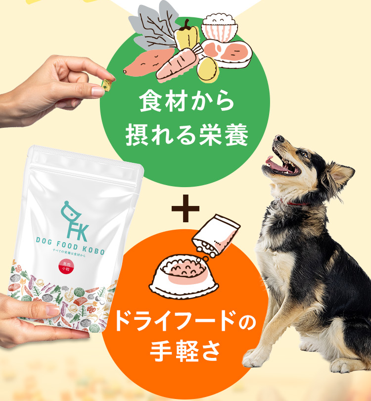 食材から摂れる栄養＋ドライフードの手軽さ