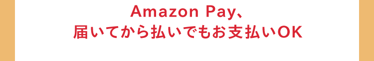Amazon Pay、届いてから払いでもお支払いOK
