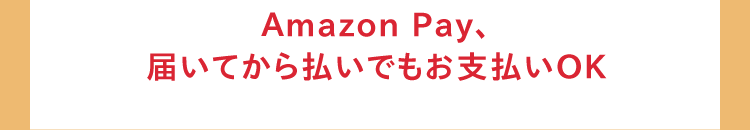 Amazon Pay、届いてから払いでもお支払いOK