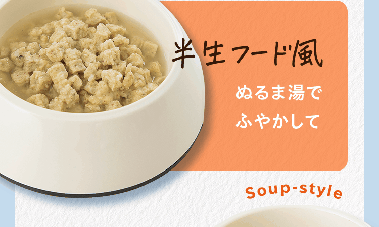 半生フード風　ぬるま湯でふやかして