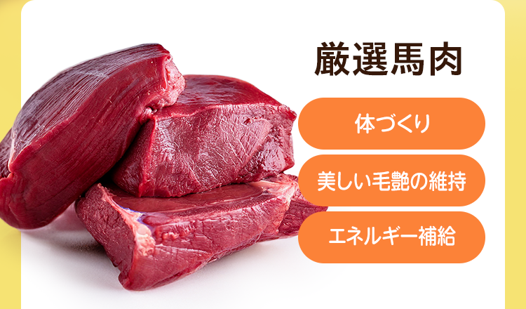 厳選馬肉 [体づくり] [美しい毛艶の維持] [エネルギー補給]