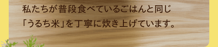 私たちが普段食べているごはんと同じ「うるち米」を丁寧に炊き上げています。