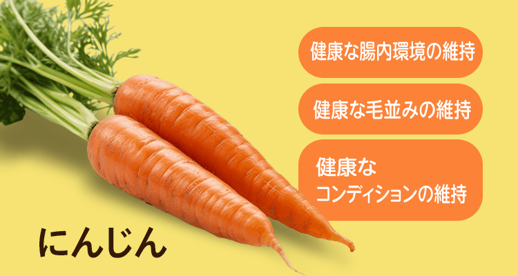 にんじん [健康な腸内環境の維持] [健康な毛並みの維持] [健康なコンディションの維持]