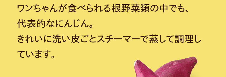 ワンちゃんが食べられる根野菜類の中でも、代表的なにんじん。きれいに洗い皮ごとスチーマーで蒸して調理しています。