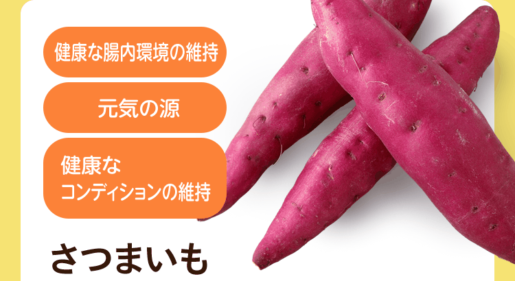 さつまいも [健康な腸内環境の維持] [元気の源] [健康なコンディションの維持]