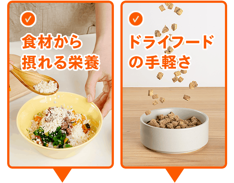 ☑︎食材から摂れる栄養　☑︎ドライフードの手軽さ