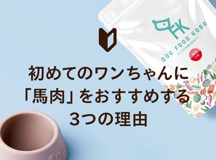初めてのワンちゃんに「馬肉」をおすすめする3つの理由