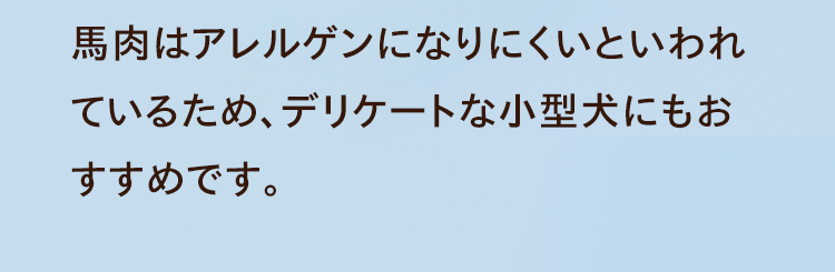 馬肉はアレルゲンになりにくいといわれているため、デリケートな小型犬にもおすすめです。