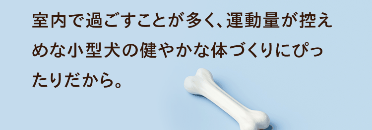 室内で過ごすことが多く、運動量が控えめな小型犬の健やかな体づくりにぴったりだから。