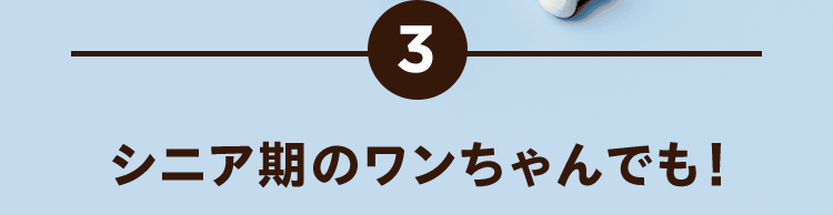 3.シニア期のワンちゃんでも！
