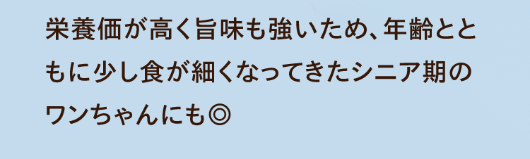 栄養価が高く旨味も強いため、年齢とともに少し食が細くなってきたシニア期のワンちゃんにも◎