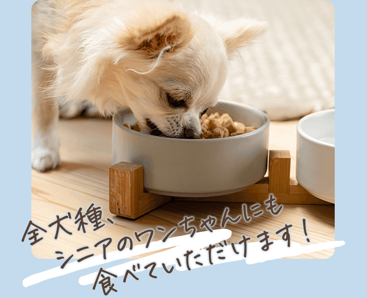 全犬種、シニアのワンちゃんにも食べていただけます！