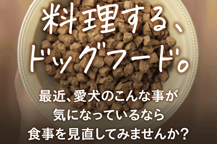 料理する、ドッグフード。最近、愛犬のこんな事が気になっているなら食事を見直してみませんか？