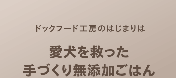 ドッグフード工房のはじまりは愛犬を救った手づくり無添加ごはん
