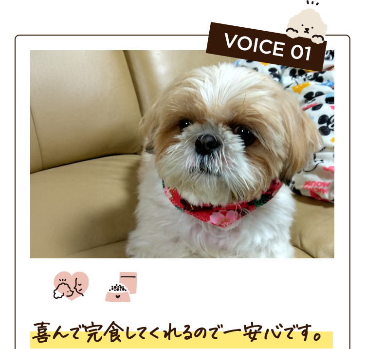 VOICE 01　喜んで完食してくれるので一安心です。