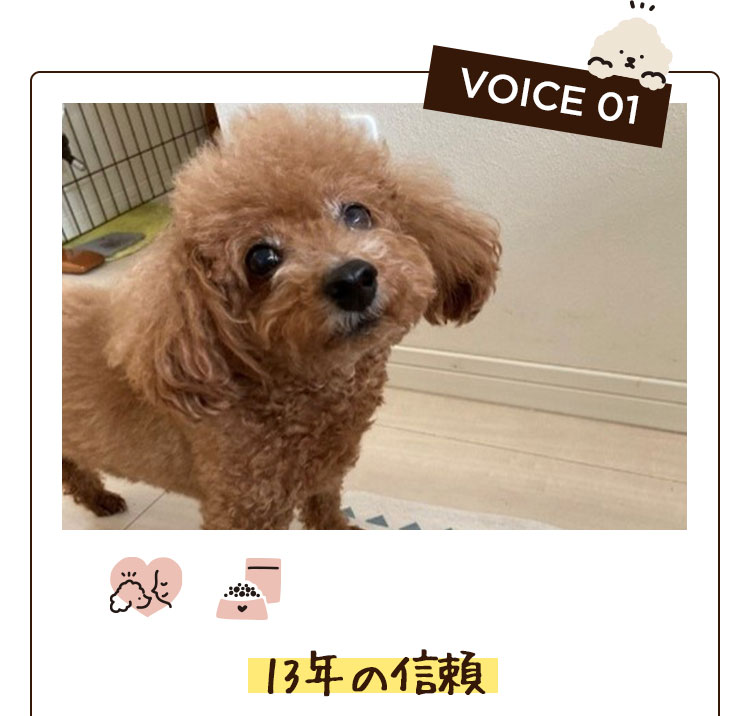 VOICE 01　13年の信頼