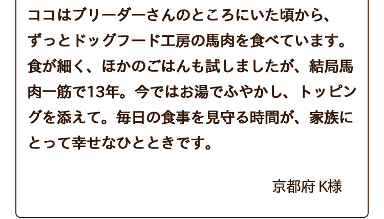 ココはブリーダーさんのところにいた頃から、ずっとドッグフード工房の馬肉を食べています。食が細く、ほかのごはんも試しましたが、結局馬肉一筋で13年。今ではお湯でふやかし、トッピングを添えて。毎日の食事を見守る時間が、家族にとって幸せなひとときです。