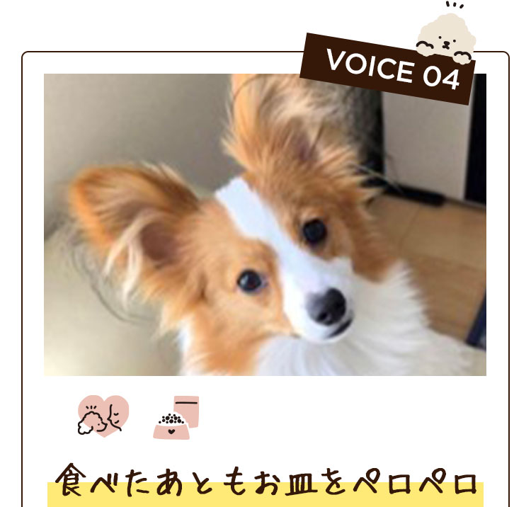 VOICE 04　食べたあともお皿をペロペロ