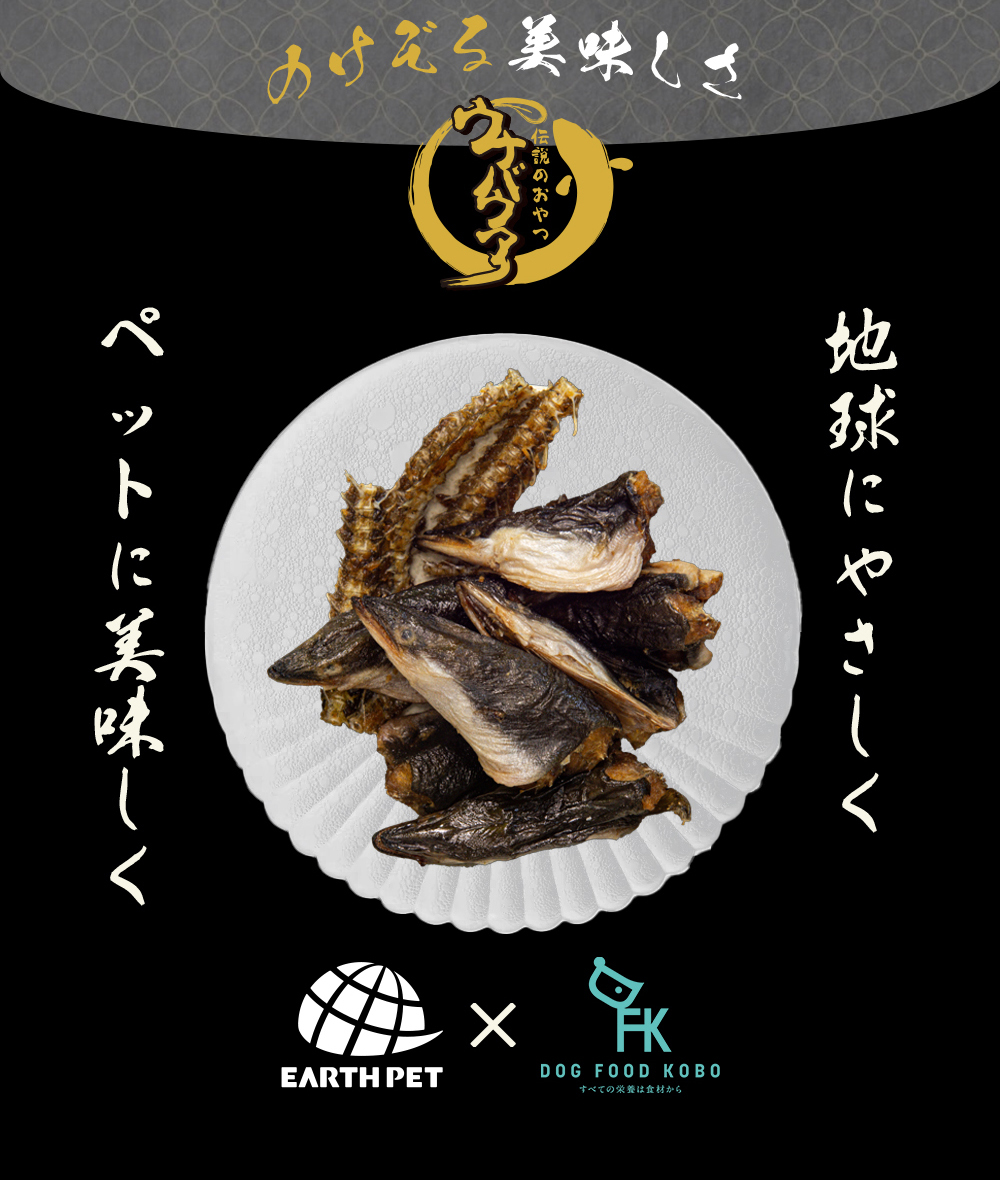 ウナバウアー03