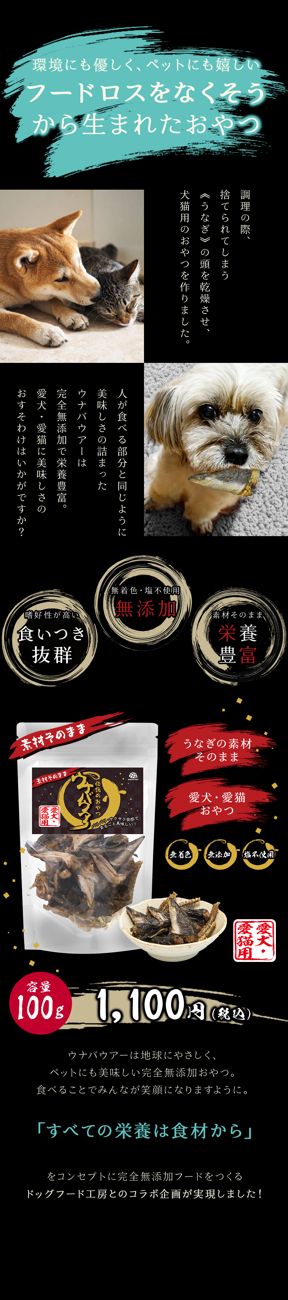 ウナバウアー01